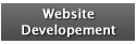 Website developement